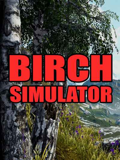 Birch-Simulator-0.jpg