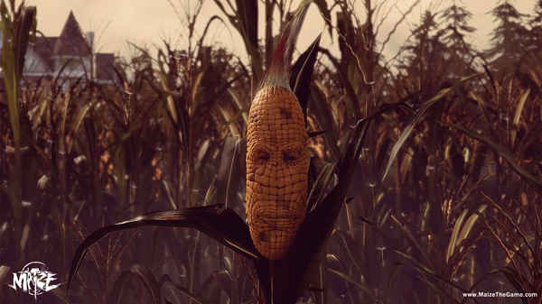 maize