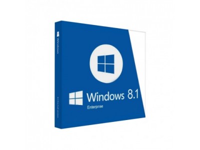 windows_8_1_enterprise-400x300